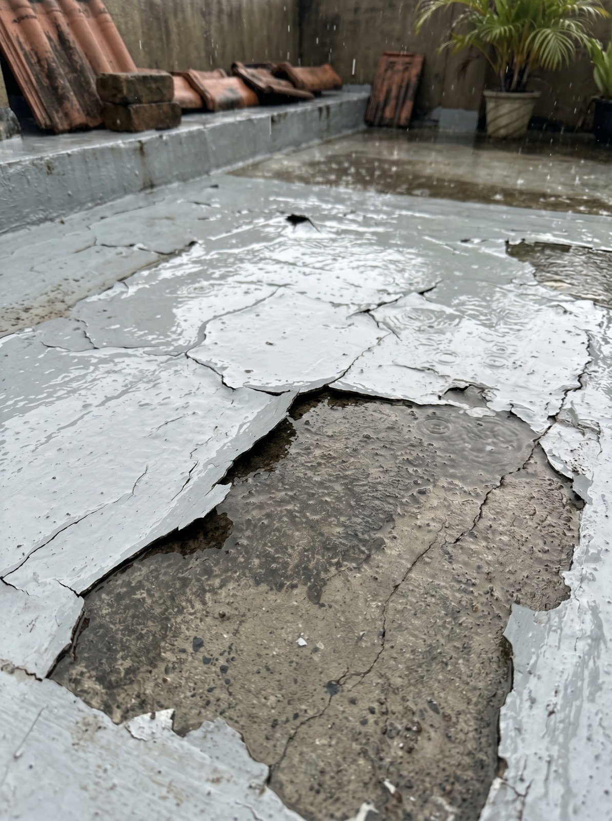 Surface coating failing on concrete in Sri Lankan conditions